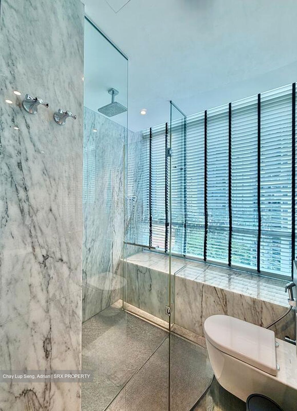 The Vermont On Cairnhill (D9), Apartment #501378101